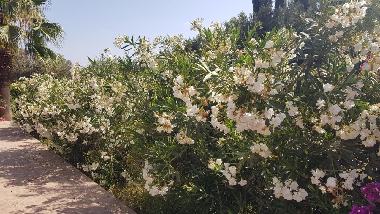 Sidi Boumoussa Riad-Villa Agadir-Taroudant מראה חיצוני תמונה