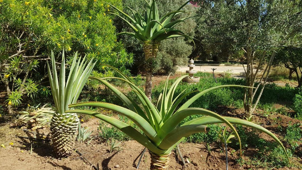 Sidi Boumoussa Riad-Villa Agadir-Taroudant מראה חיצוני תמונה