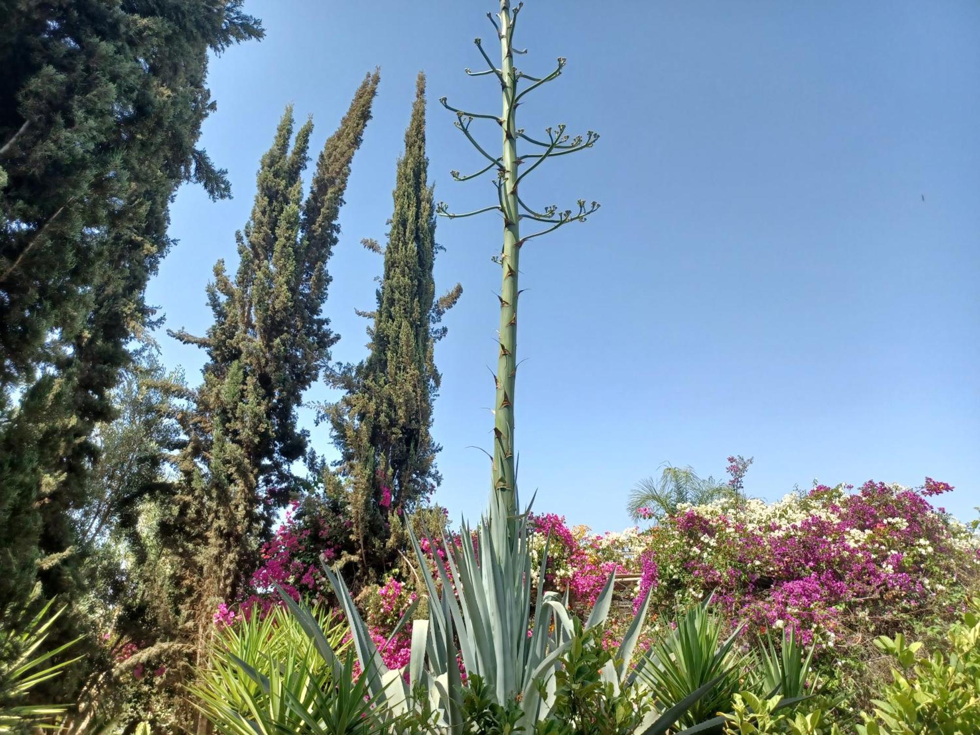 Sidi Boumoussa Riad-Villa Agadir-Taroudant מראה חיצוני תמונה