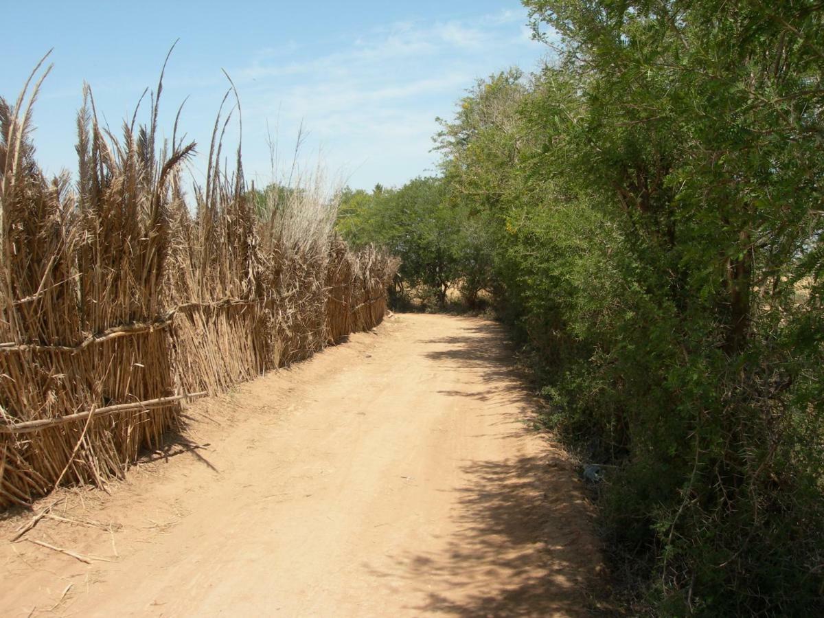 Sidi Boumoussa Riad-Villa Agadir-Taroudant מראה חיצוני תמונה