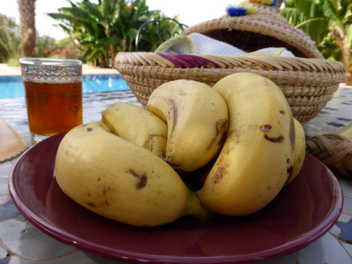 Sidi Boumoussa Riad-Villa Agadir-Taroudant מראה חיצוני תמונה